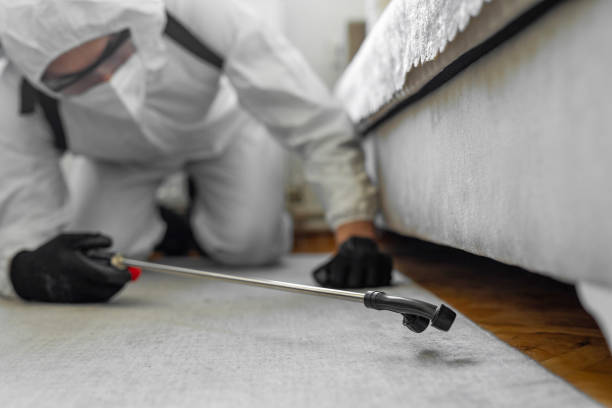 Professional Emergency Pest Control technician working in La Porte City, IA