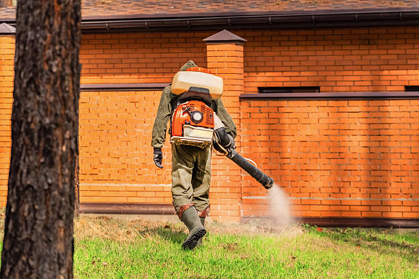 Trusted Cockroach Control service in La Porte City, IA - Nex Pest Control
